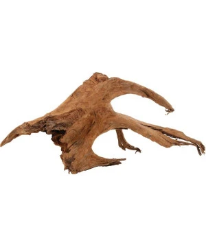 RACINE MANGROVE LARGE 40/60CM 1 RACINE MANGROVE LARGE 40/60CM
